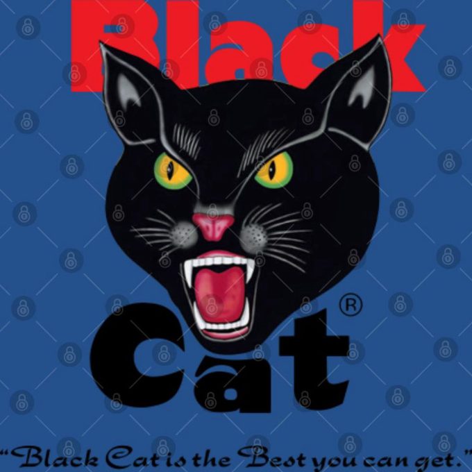 vintage 1990s Black Cat Fireworks Shirt Gift for Men and Women