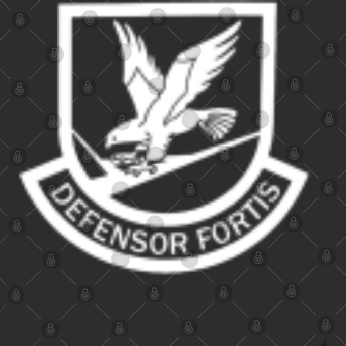 Defensor Fortis Double Sided T-Shirt for New Air Force Security Police – Enhance Style & Security