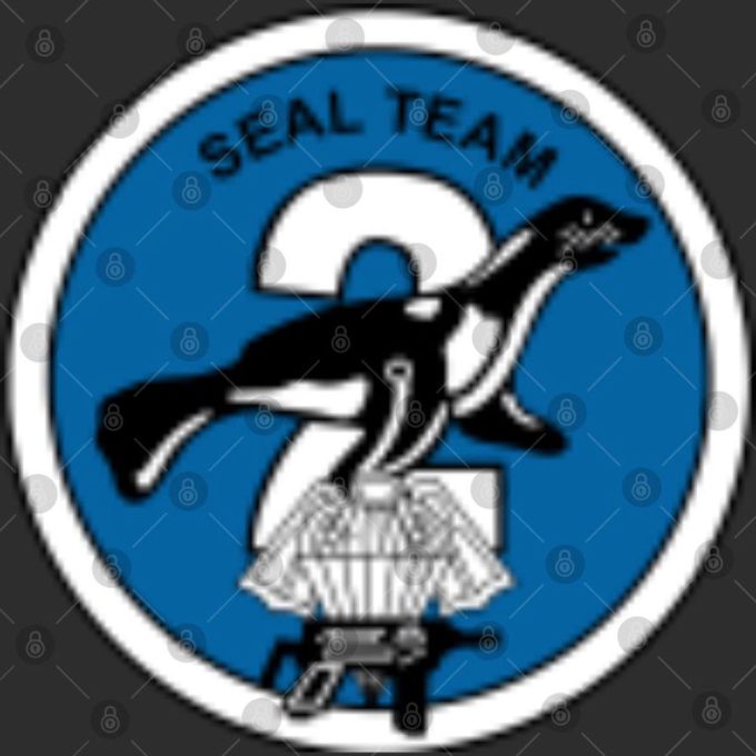 SEAL Team Two DEVGRU Virginia Beach Team 2 Double sided tshirt