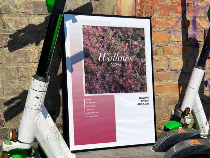 Wallows “Spring” Album Cover Poster #1