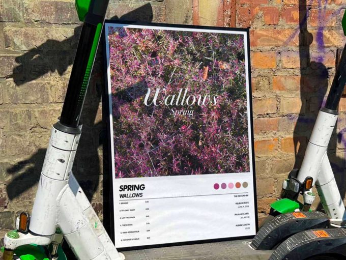 Wallows “Spring” Album Cover Poster #6